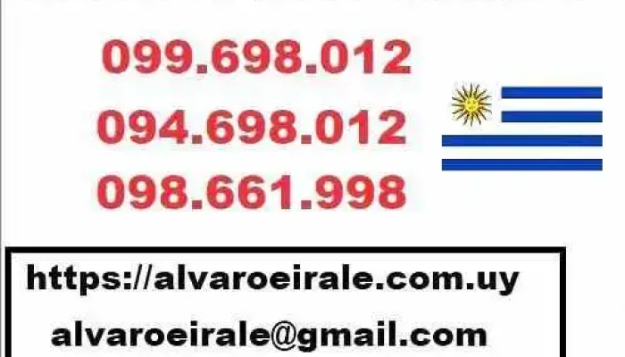 Inmobiliaria Alvaro Eirale Ocampo Del Propietario - Montevideo