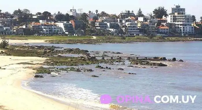 Inmobiliaria Arte Carrasco -  Sitio Web - Montevideo