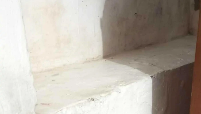 Inmobiliaria Braglia -  Horario - Montevideo