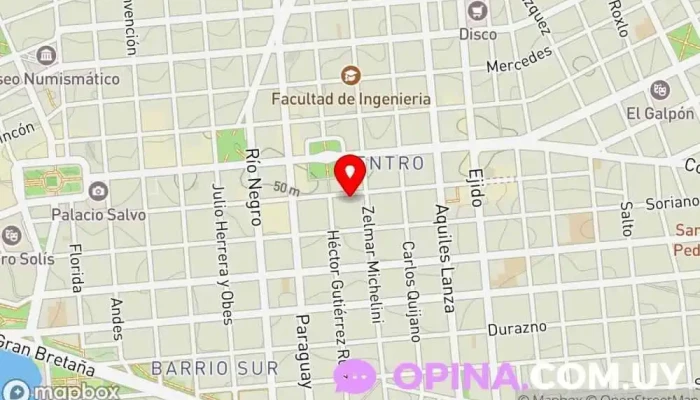 mapa de Inmobiliaria Braglia Agencia inmobiliaria en Montevideo