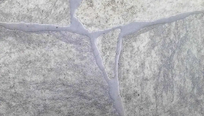 Inmobiliaria Curto -  Catalogo - Ciudad de la Costa