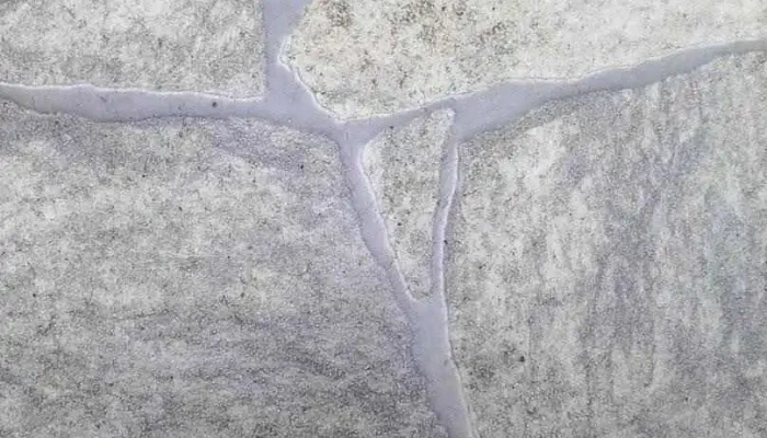 Inmobiliaria Curto - Ciudad De La Costa