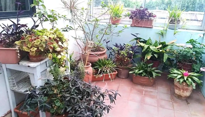 Inmobiliaria Estudio Dinámica - Col. Del Sacramento