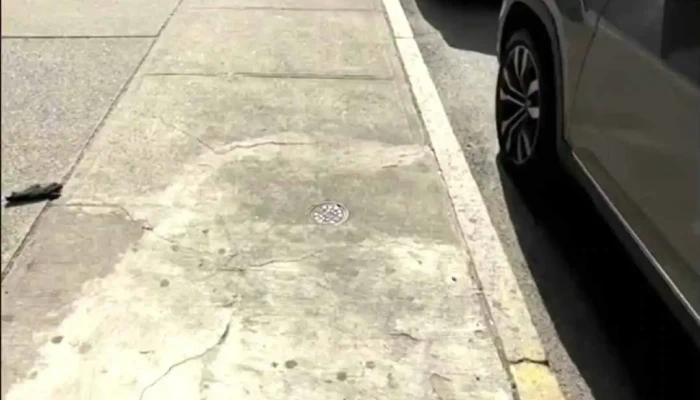 Inmobiliaria Exito Videos - Montevideo