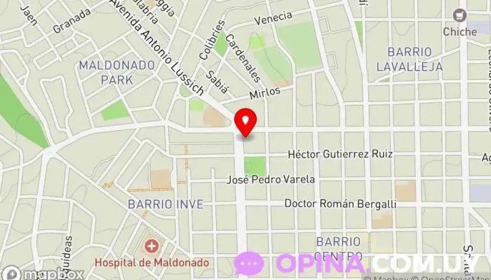 mapa de Inmobiliaria Gabriel Barrios Agencia inmobiliaria en Maldonado