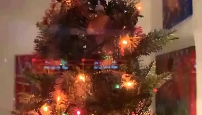 Inmobiliaria Gonzalo Vidal -  Del Propietario - La Barra