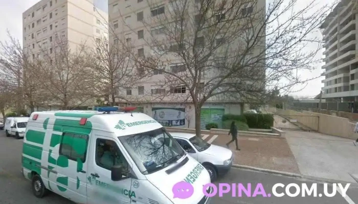 Inmobiliaria Imperium Shark - Maldonado