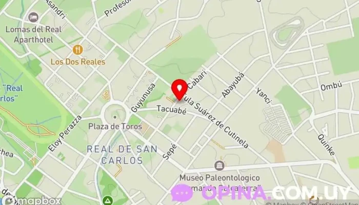 mapa de Inmobiliaria LIA Agencia inmobiliaria en Col. del Sacramento