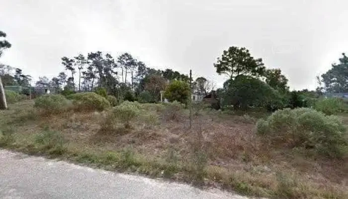 Inmobiliaria Los Horneros -  Cerca De Mi - Parque del Plata