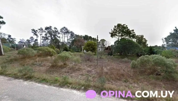 Inmobiliaria Los Horneros - Parque Del Plata