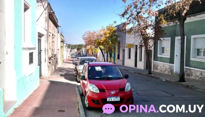 Inmobiliaria Mario Cedrani - San José De Mayo