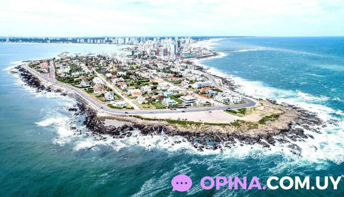 Inmobiliaria Punta del Este | Antonio Mieres - Punta Del Este