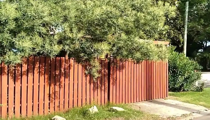 Inmobiliaria Rincon Del Indio Videos - Punta del Este