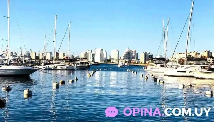 Inmobiliaria Verona Punta - Punta Del Este
