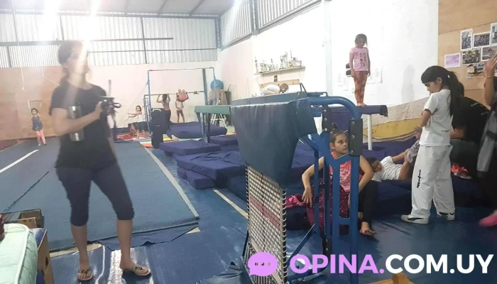 Instituto De Formacion Gimnastica Colonia Gimnasio - Col. del Sacramento