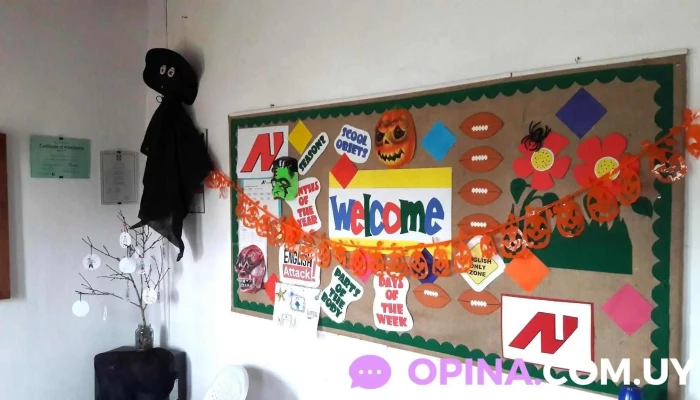 Instituto De Ingles Ali -    Rocha Sitio Web - Rocha