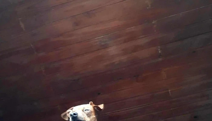 Instituto de Inglés Melo - Melo