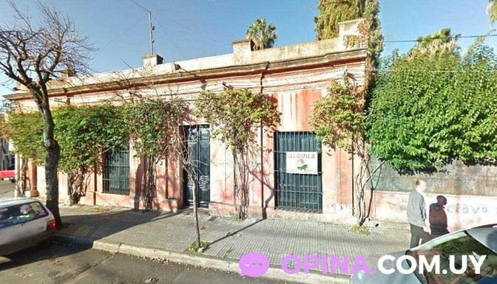 Instituto de Inglés St. Michael’s - Salto