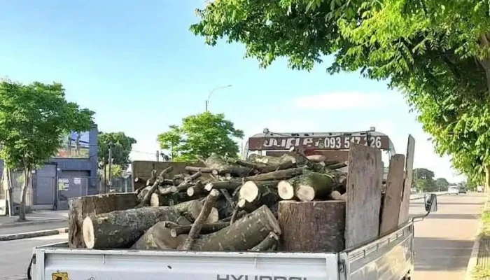 InTerra Broker Inmobiliaria Logística - Montevideo