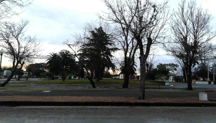 Isla Mala -  De Los Visitantes - Veinticinco de Mayo