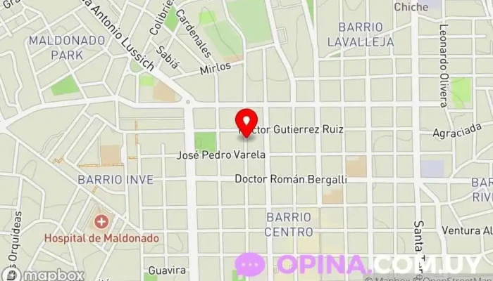 mapa de ITI Academia de informática en Maldonado