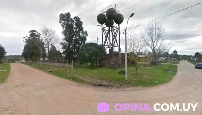 Jardín 290 - Toledo