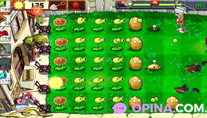 Jardin 307 Videos - 18 de Mayo