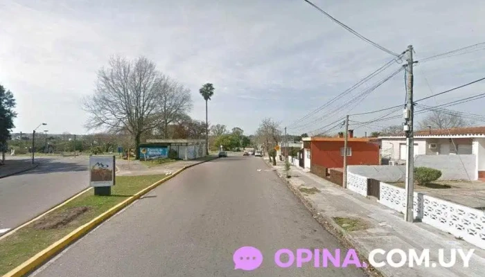 Jardin Arcoiris - Florida