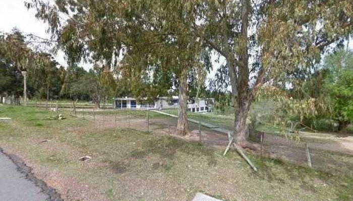 Jardin De Infantes Ndeg395 Telefono - Montevideo