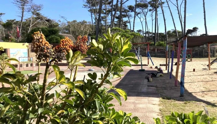 Jardin De Infantes No 106 Zona - La Paloma