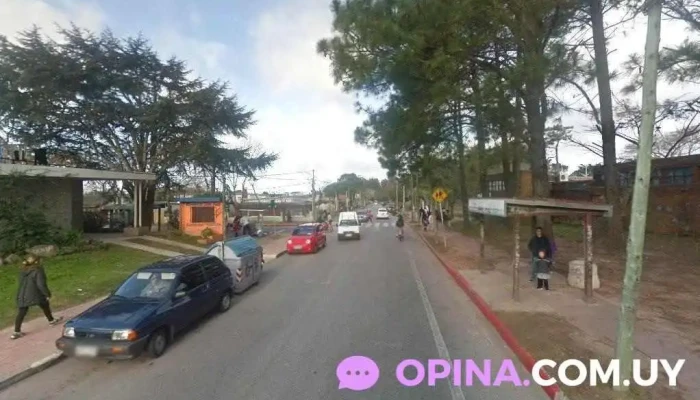 Jardín n° 92 - Punta Del Este