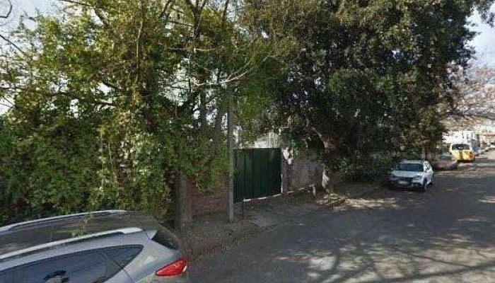 Jardin Pillin Descuentosdeg - Montevideo