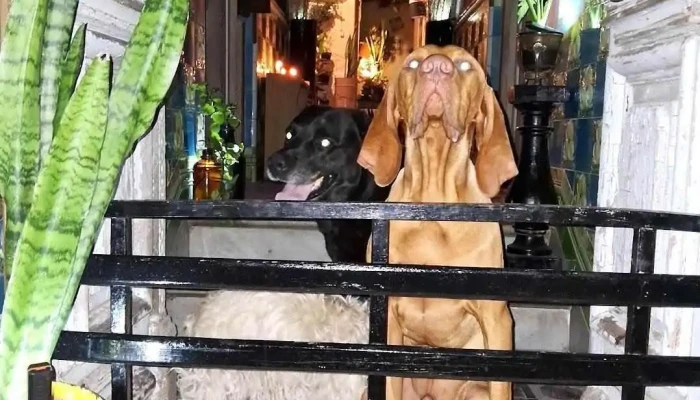 José Enrique Rodó 550 - Mercedes