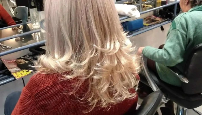 Josefina Iorgov Peluqueria - 11200 Montevideo