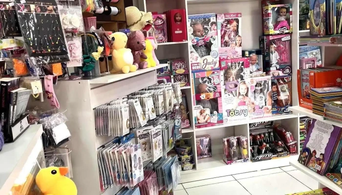 Jugueteria Y Papeleria Antomila Interior - Rivera