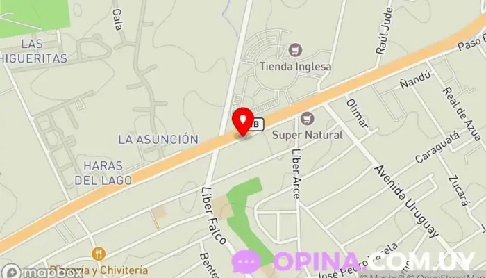 mapa de Kosak Inversiones Inmobiliarias - Housing & Logistics Car One Agencia inmobiliaria, Agencia de bienes inmuebles comerciales, Agentes inmobiliarios, Tasador inmobiliario, Consultor inmobiliario en Ciudad de la Costa