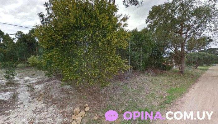 Kosak Inversiones Inmobiliarias - Sucursal A Costa de Oro - La Floresta