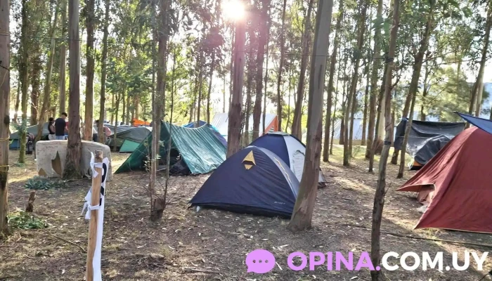 La Aldea -  Promocion - Montevideo