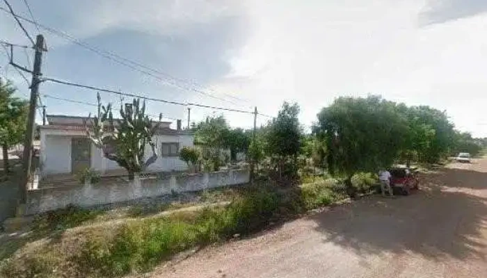 La Benedicta -  Catalogo - Vergara