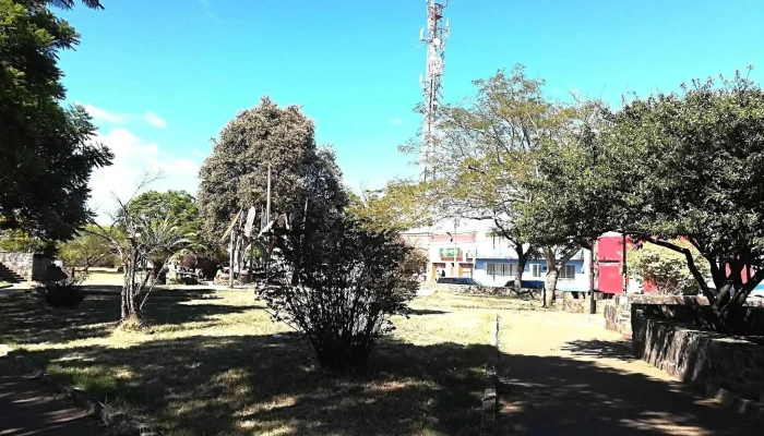 La casa de la Música y los Regalos - 45100 Paso De Los Toros