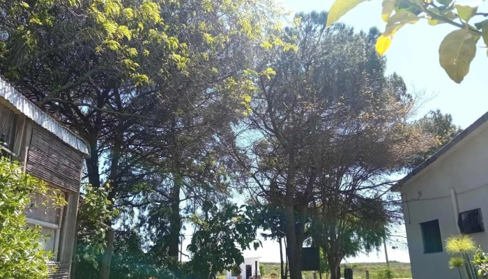 La Casa del Cura - Departamento De San José