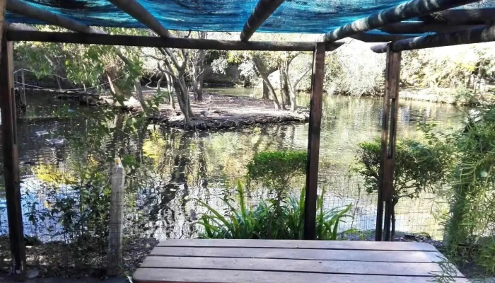 La Casa Del Lago:  Ambiente