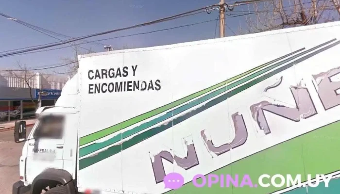 La Cigueña Juguetería Bazar - Young