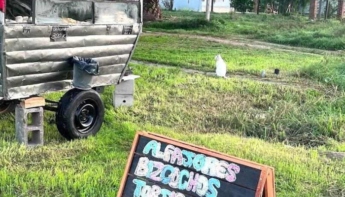 La Gordis Carrito:  Del Propietario