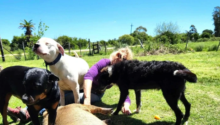 La Herradura Spanish School Montevideo -  Videos - Montevideo