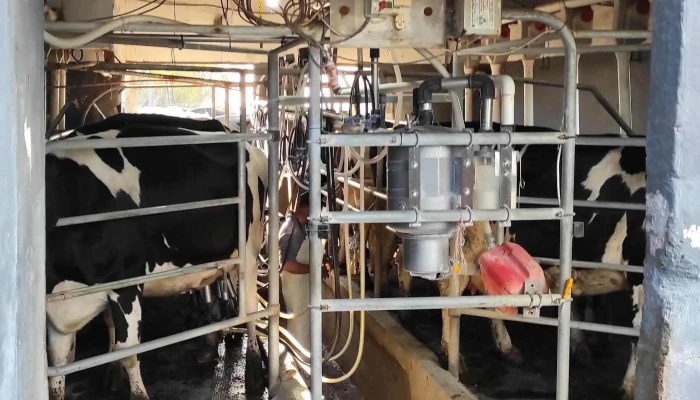 La Oportunidad -  Direccion - Cardal