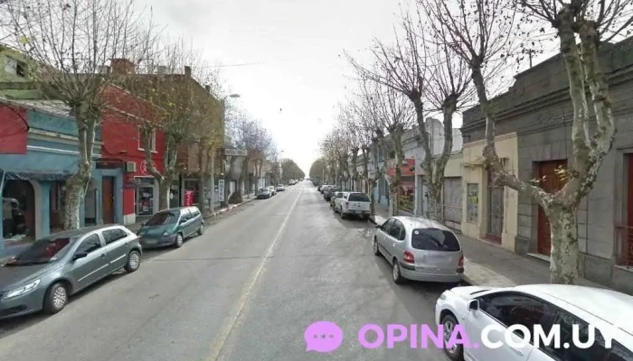 La Petite Second Hand - 70000 Col. Del Sacramento