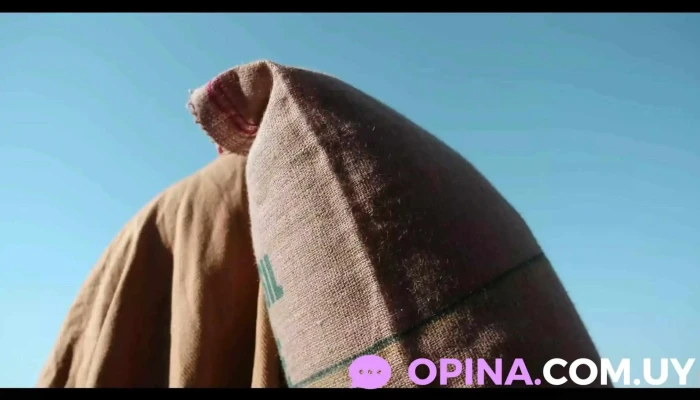 La Resi Residencia Universitaria -  Del Propietario - Rivera