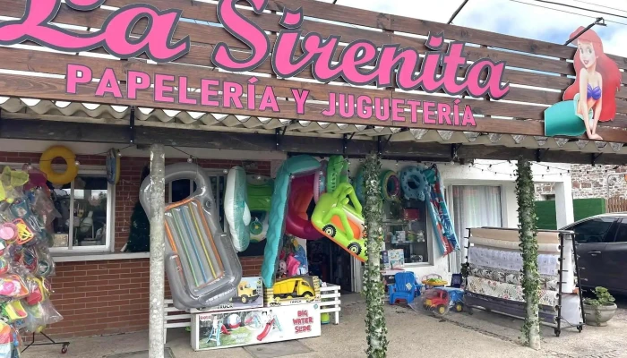 La Sirenita -  Del Propietario - La Paloma