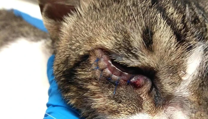 La Taba - 11600 Montevideo